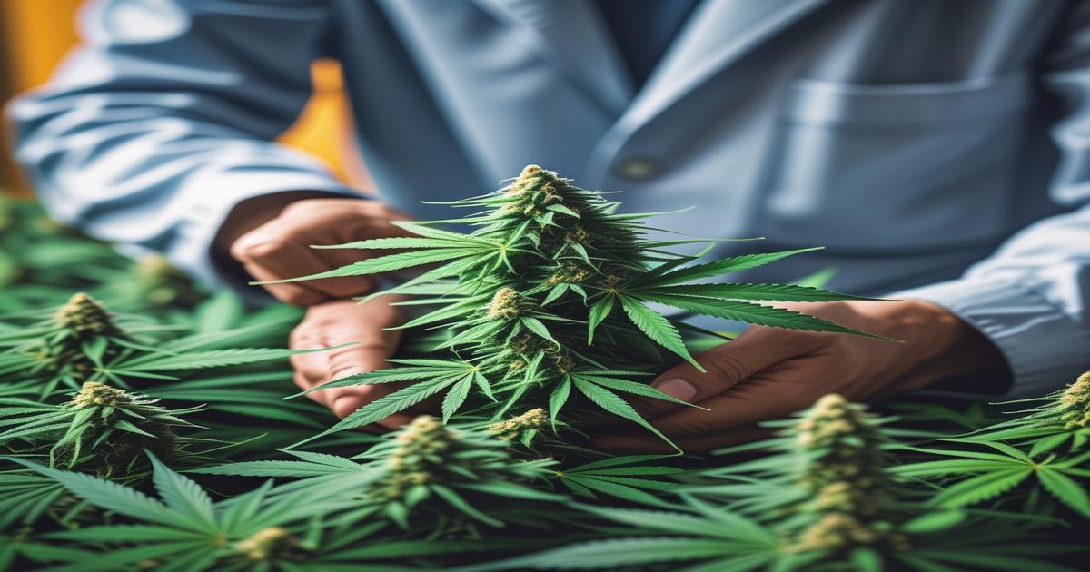 Imagem gerada por IA para ilustrar o conteúdo do Ganja Talks.