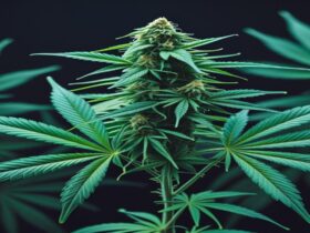 Imagem gerada por IA para ilustrar o conteúdo do Ganja Talks.