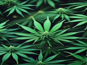 Imagem gerada por IA para ilustrar o conteúdo do Ganja Talks.