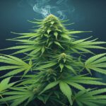 Imagem gerada por IA para ilustrar o conteúdo do Ganja Talks.