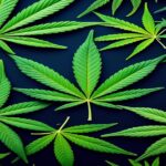 Imagem gerada por IA para ilustrar o conteúdo do Ganja Talks.