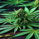 Imagem gerada por IA para ilustrar o conteúdo do Ganja Talks.