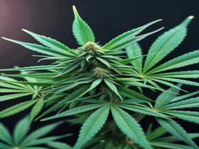 Imagem gerada por IA para ilustrar o conteúdo do Ganja Talks.