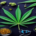 Imagem gerada por IA para ilustrar o conteúdo do Ganja Talks.