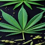 Imagem gerada por IA para ilustrar o conteúdo do Ganja Talks.