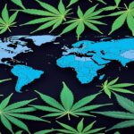 Imagem gerada por IA para ilustrar o conteúdo do Ganja Talks.