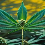 Imagem gerada por IA para ilustrar o conteúdo do Ganja Talks.