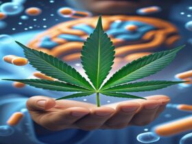 Imagem gerada por IA para ilustrar o conteúdo do Ganja Talks.