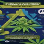 Imagem gerada por IA para ilustrar o conteúdo da Revista Ganja.