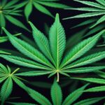 Imagem gerada por IA para ilustrar o conteúdo do Ganja Talks.