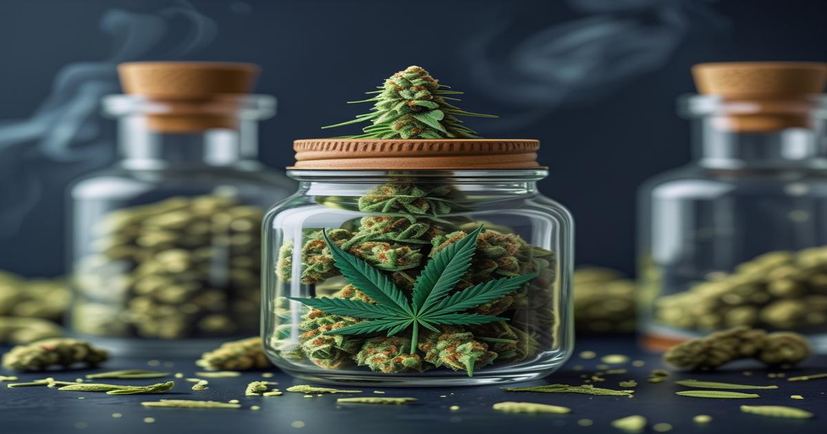 Imagem gerada por IA para ilustrar o conteúdo do Ganja Talks.