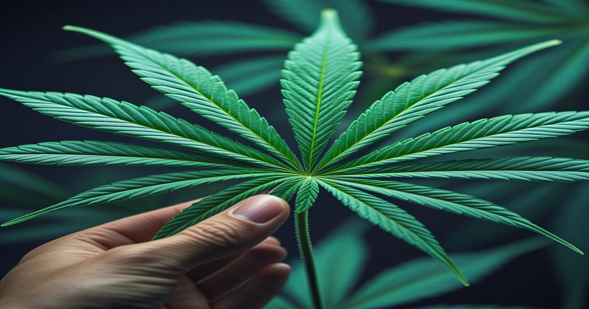 Imagem gerada por IA para ilustrar o conteúdo do Ganja Talks.