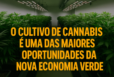 Imagem gerada por IA para ilustrar o conteúdo da Revista Ganja.