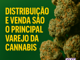 Imagem gerada por IA para ilustrar o conteúdo da Revista Ganja.