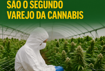 Imagem gerada por IA para ilustrar o conteúdo da Revista Ganja.