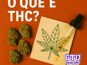 Imagem gerada por IA para ilustrar o conteúdo da Revista Ganja.