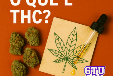 Imagem gerada por IA para ilustrar o conteúdo da Revista Ganja.