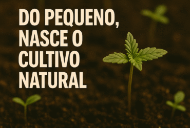 Imagem gerada por IA para ilustrar o conteúdo da Revista Ganja.