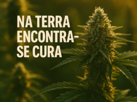 Imagem gerada por IA para ilustrar o conteúdo da Revista Ganja.
