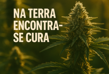 Imagem gerada por IA para ilustrar o conteúdo da Revista Ganja.