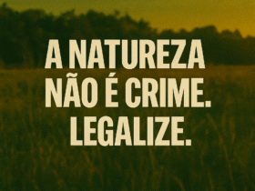 Imagem gerada por IA para ilustrar o conteúdo da Revista Ganja.