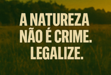 Imagem gerada por IA para ilustrar o conteúdo da Revista Ganja.