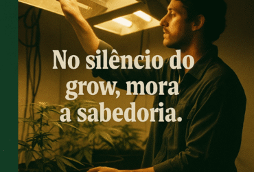 Imagem gerada por IA para ilustrar o conteúdo da Revista Ganja.