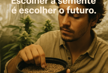 Imagem gerada por IA para ilustrar o conteúdo da Revista Ganja.