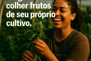 Imagem gerada por IA para ilustrar o conteúdo da Revista Ganja.