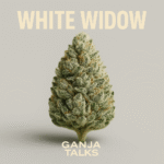 Imagem gerada por IA para ilustrar o conteúdo da Revista Ganja.